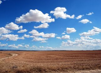 Jakie są słabe strony charakteru?