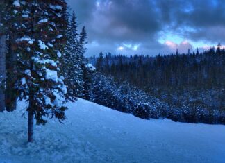 Czy po licencjacie można być księgowym? Czy po licencjacie można być księgowym?
