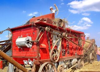 Jak przygotować się do zawodów?