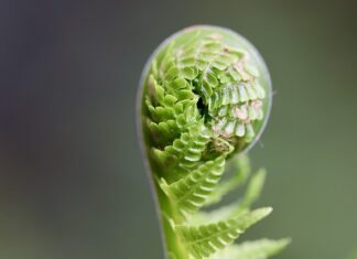 Co należy zrobić aby rozwijać zdolności?