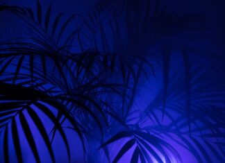 Co oznacza skrót KP w rachunkowości? Co oznacza skrót KP w rachunkowości?