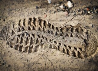 Co jeśli wykładowca nie wpisał oceny?