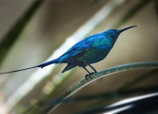 Czy zdjęcie faktury jest dokumentem księgowym? Czy zdjęcie faktury jest dokumentem księgowym?