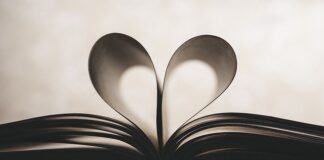 Ile kosztuje strona na Wix?