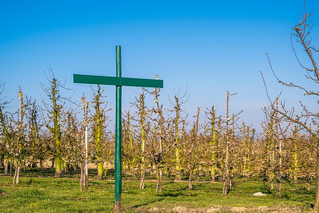 Jak napisać regulamin zawodów sportowych? Jak napisać regulamin zawodów sportowych?